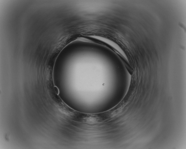 X0000098130412200804241655