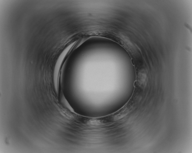 X0000098130413200804241655