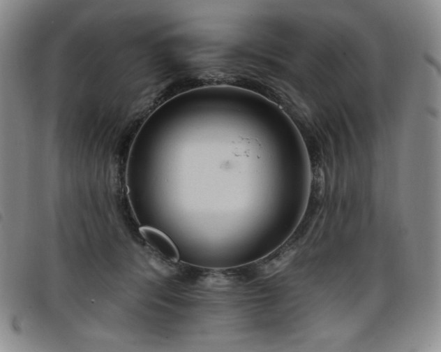 X0000098130416200804241655