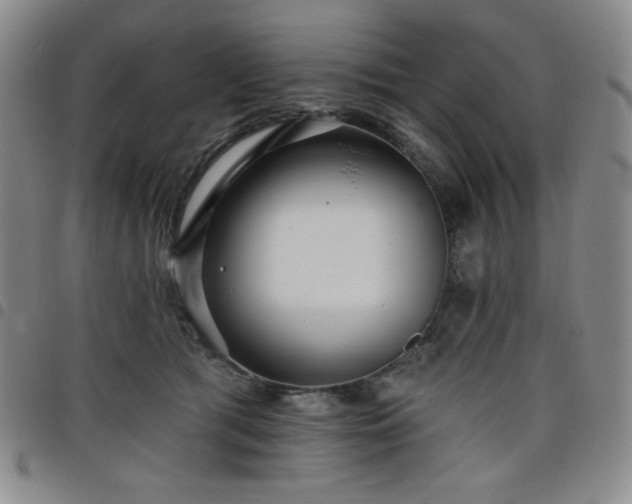 X0000098130417200804241655