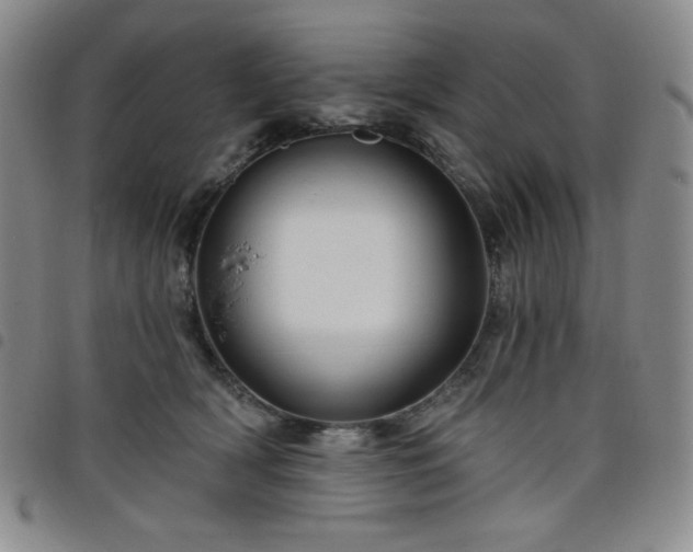 X0000098130418200804241655