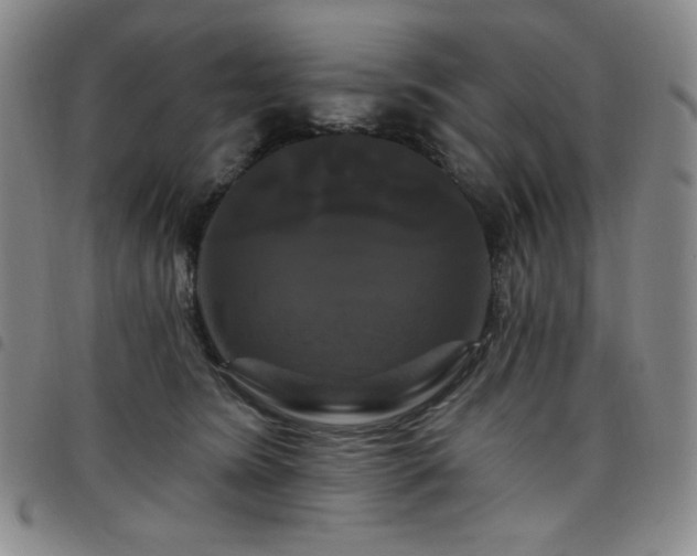X0000098130420200804241654