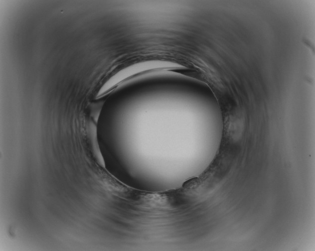 X0000098130421200804241654