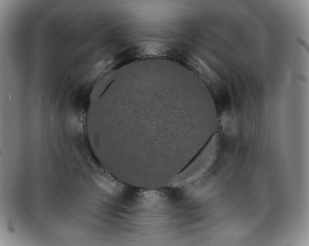 X0000098130423200804241654
