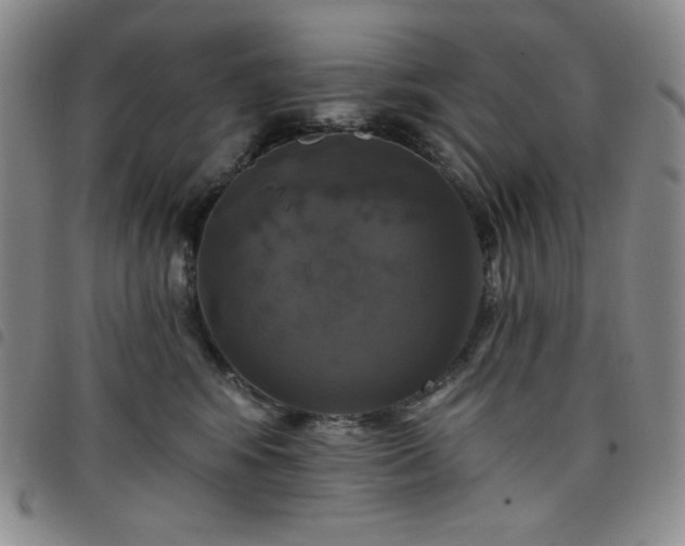 X0000098130424200804241654