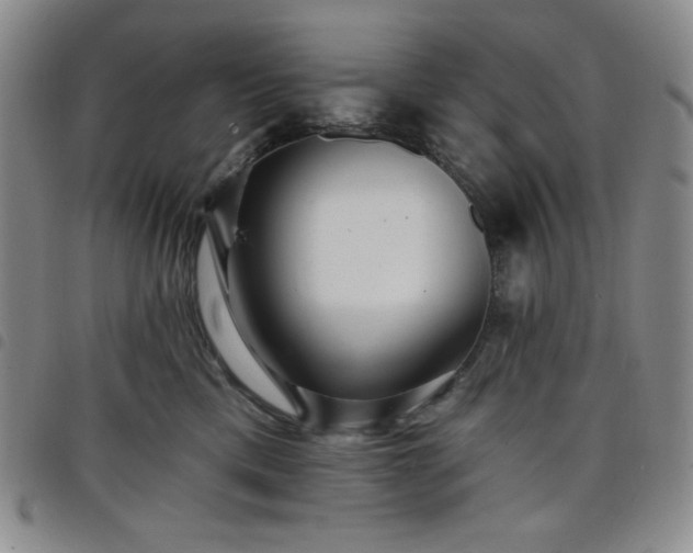 X0000098130425200804241654