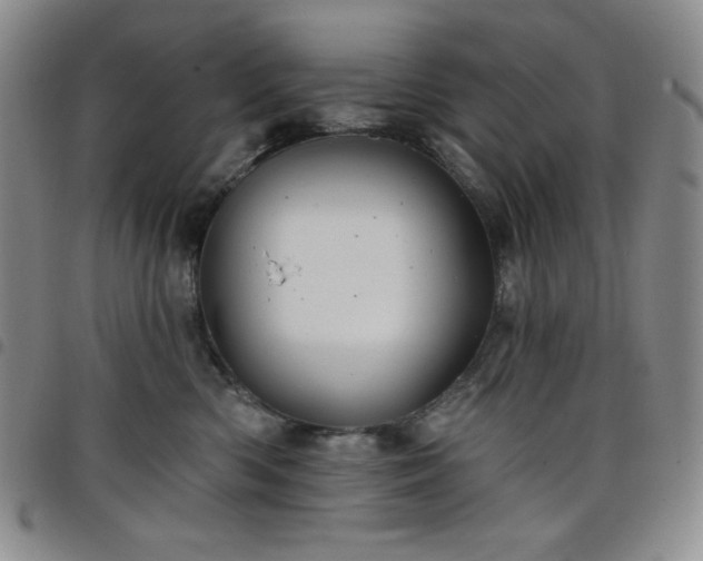 X0000098130426200804241654