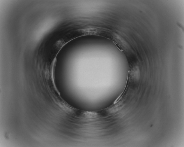 X0000098130429200804241654