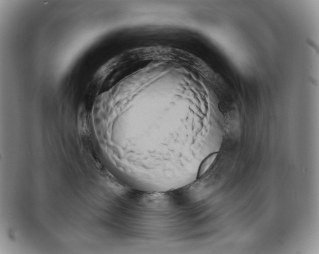X0000098130431200804241654