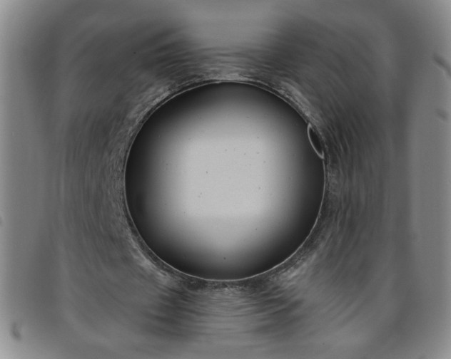 X0000098130433200804241653