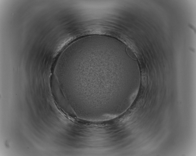 X0000098130434200804241653