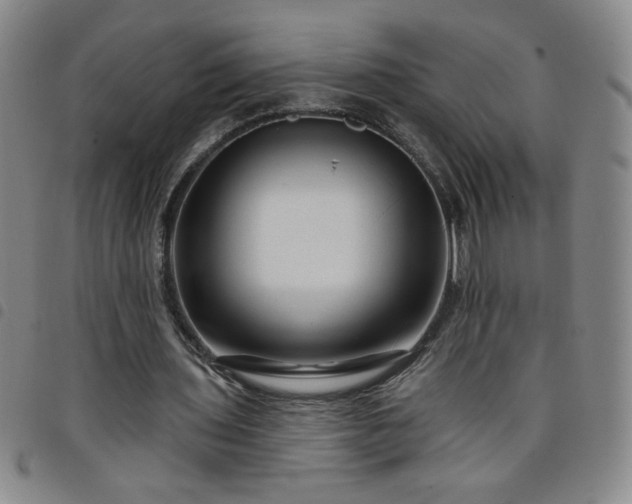 X0000098130435200804241653