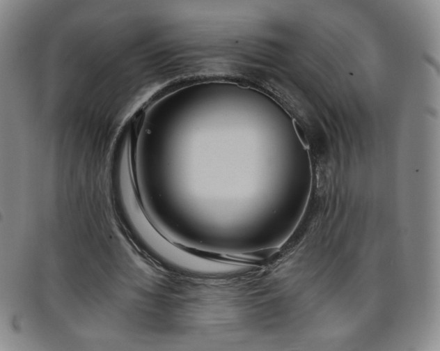 X0000098130436200804241653