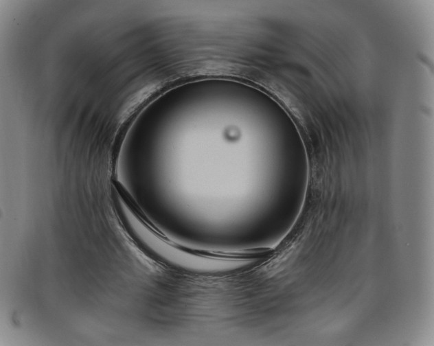 X0000098130437200804241654