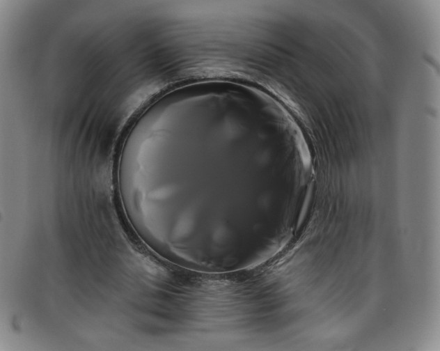 X0000098130438200804241654