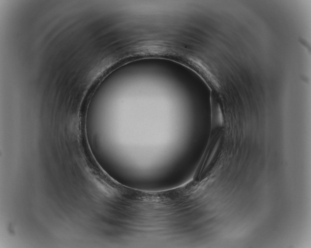 X0000098130439200804241654
