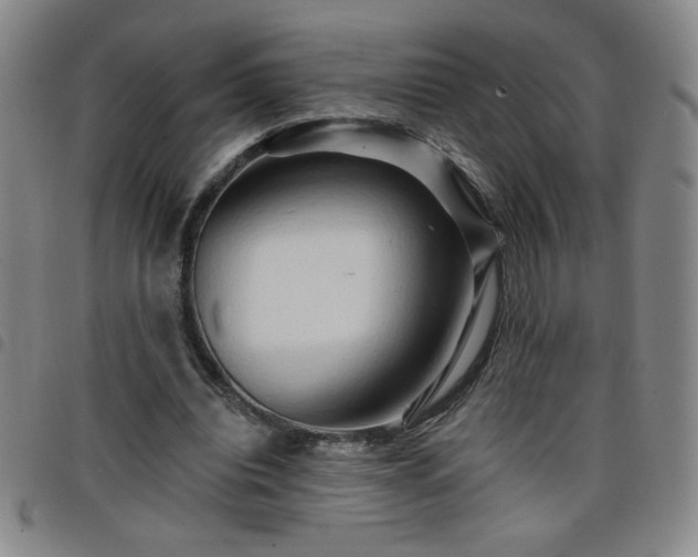 X0000098130440200804241654