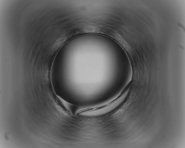X0000098130441200804241654
