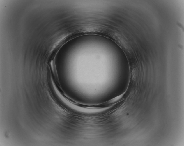 X0000098130444200804241654
