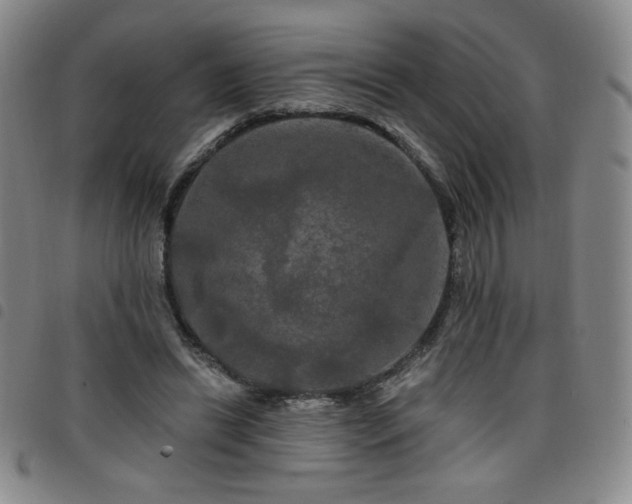 X0000098130446200804241654