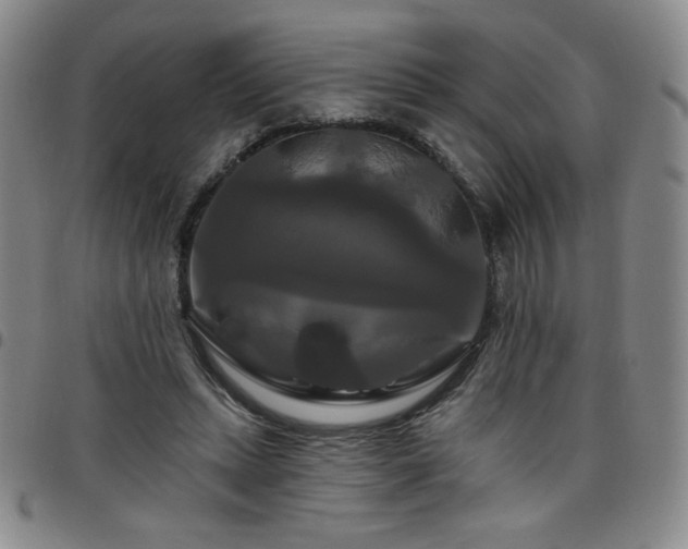 X0000098130447200804241654