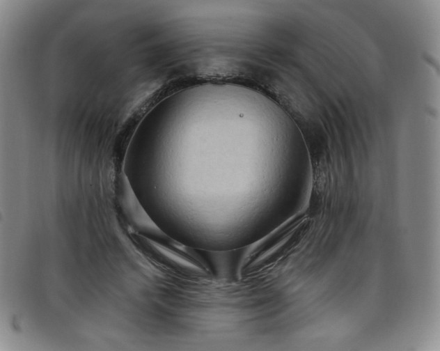 X0000098130448200804241654