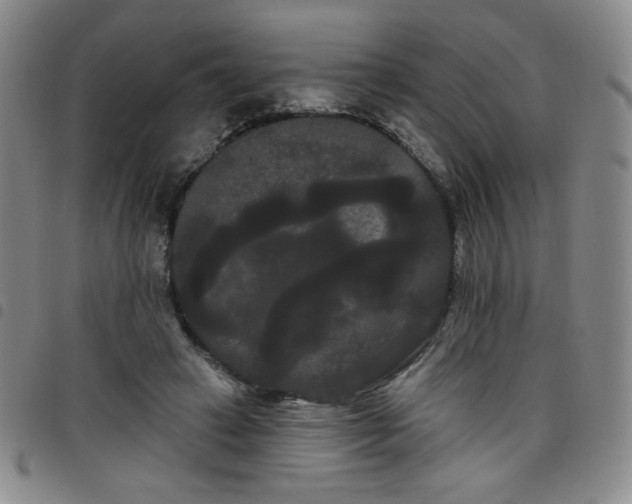 X0000098130449200804241654