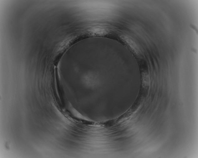 X0000098130451200804241654
