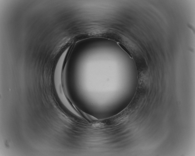 X0000098130452200804241654