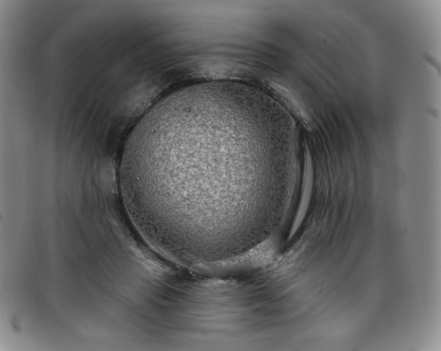 X0000098130453200804241654