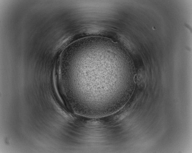 X0000098130454200804241654