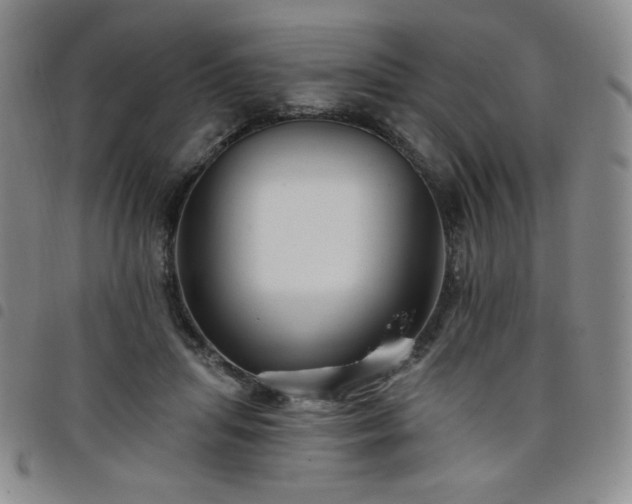 X0000098130455200804241654