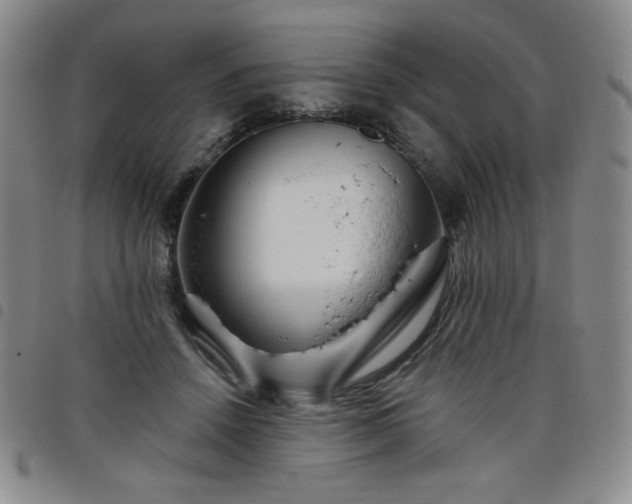 X0000098130456200804241654