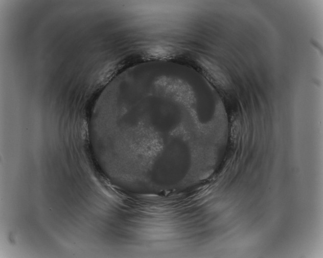 X0000098130459200804241654