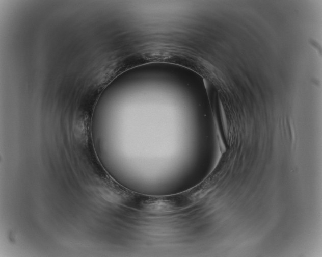 X0000098130460200804241654