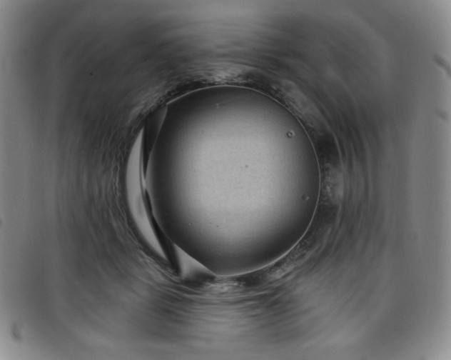 X0000098130461200804241654