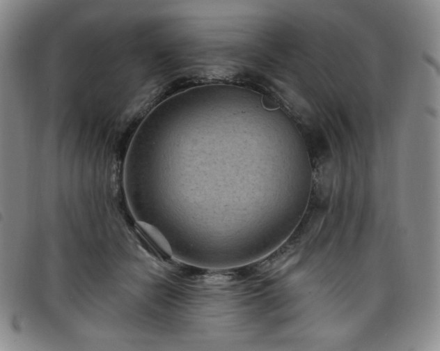 X0000098130462200804241654