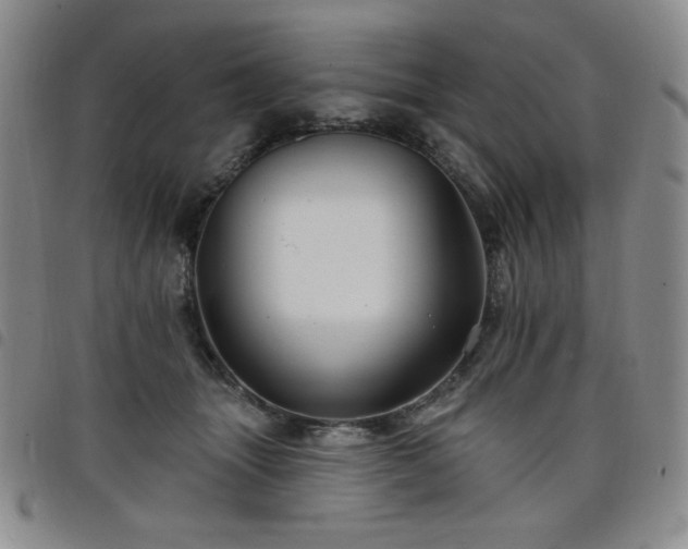 X0000098130463200804241654