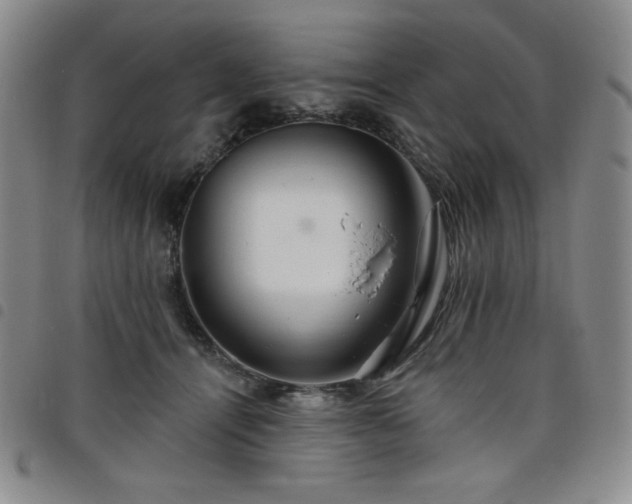 X0000098130464200804241654
