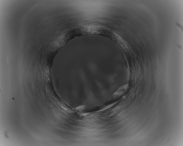 X0000098130465200804241654