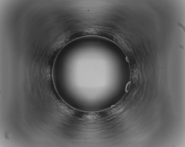 X0000098130466200804241654