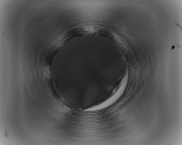 X0000098130467200804241654