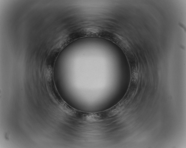 X0000098130468200804241654