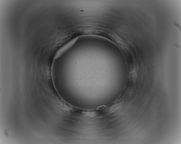 X0000098130469200804241654