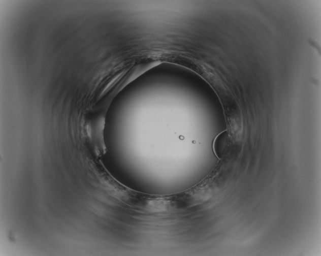 X0000098130470200804241654