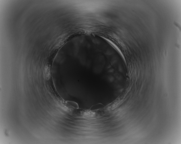 X0000098130471200804241654