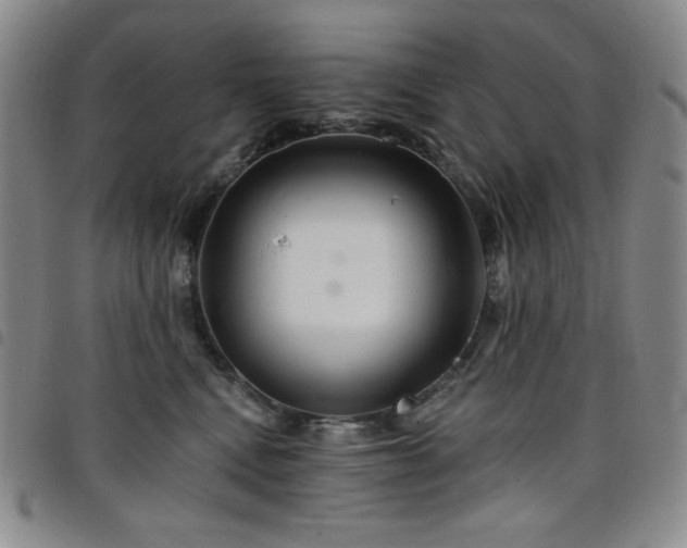 X0000098130472200804241654