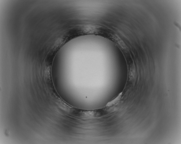 X0000098130473200804241654