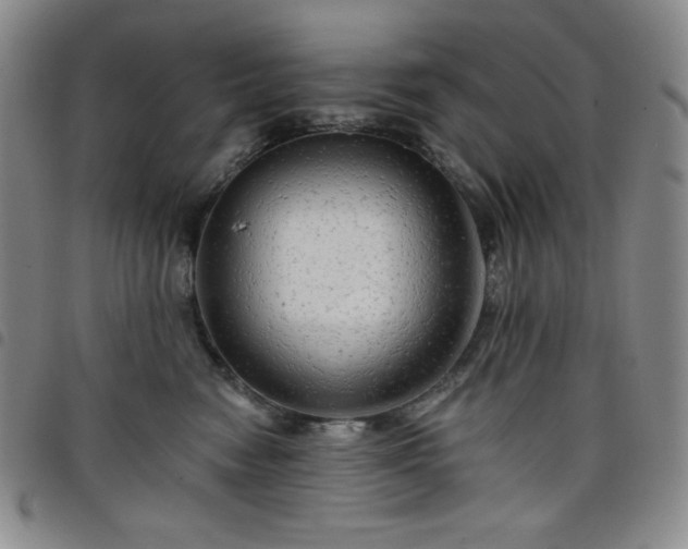 X0000098130474200804241654