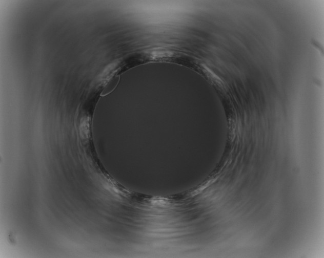 X0000098130475200804241654